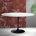 Saarinen Tulip Oval Coffee Table H 41 cm in Matte White Florim Ceramic - Scarlet