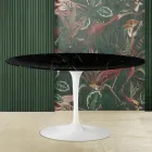Tulip Coffee Table Eero Saarinen H 41 with Oval Top in Black Marquinia Marble Viadurini