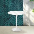 Saarinen Tulip Coffee Table H 52 cm in Glossy White Florim Ceramic - Scarlet