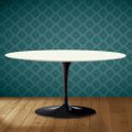 Saarinen Tulip Coffee Table, Oval, H 41 cm, Moonè Ceramic, Made in Italy - Scarlet