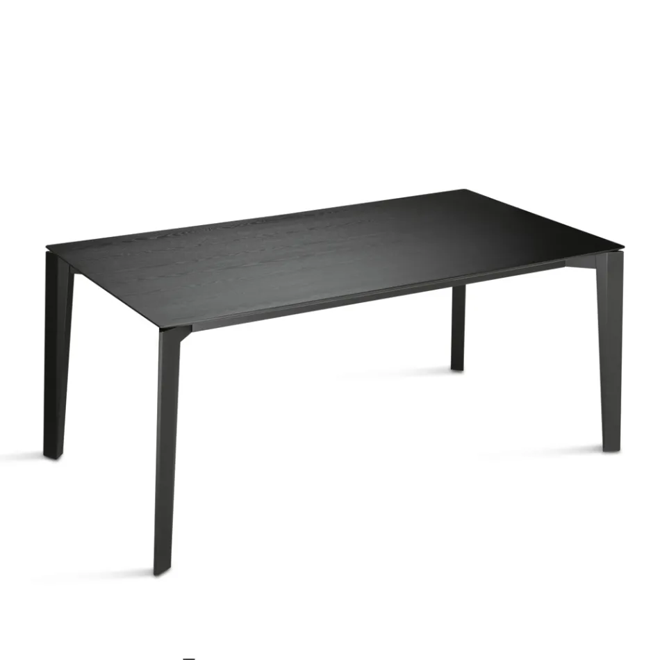 Rectangular Eight-Seater Table in Eco-Friendly MDF and Wood, Multiple Finishes - Enea Viadurini