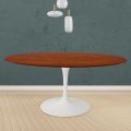 Tulip Eero Saarinen Round Table H 73 in Cherry Stained Oak Made in Italy - Scarlet