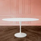 Tulip Table Eero Sarinen H 73 Oval Extendable in White Liquid Laminate - Scarlet Viadurini