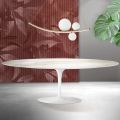 Saarinen Tulip Table H 74 cm in Florim Calacatta Gold Matt Ceramic - Scarlet