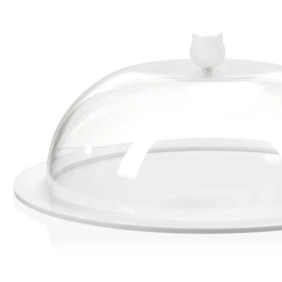 Transparent Plexiglass Round Cake Pan Made in Italy 2 Sizes - Crotone Viadurini