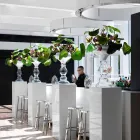 Modern Decorative Vase in White and Transparent Glass Made in Italy - Vulcano Viadurini