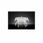 Indoor Ornamental Vase in White Ceramic or 24k Gold Made in Italy - Jacky Viadurini