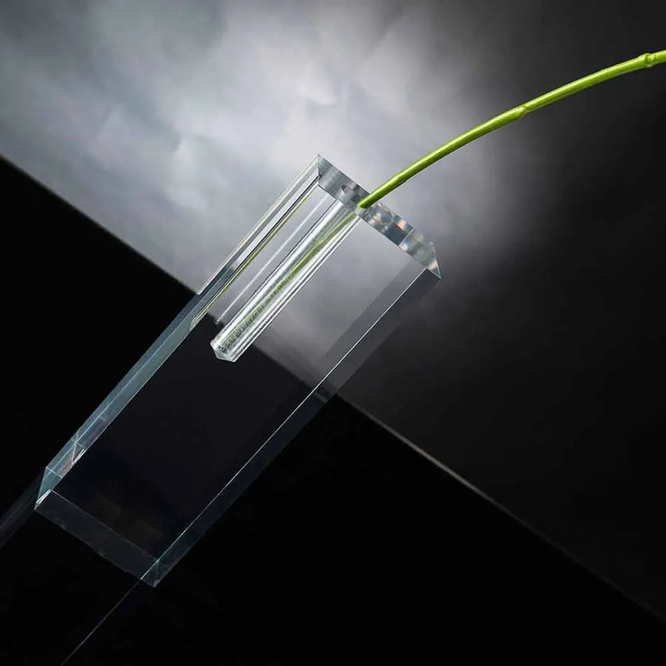 Modern Transparent Plexiglass Flower Vase Made in Italy - Unique Viadurini