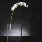 Modern Transparent Plexiglass Flower Vase Made in Italy - Unique Viadurini