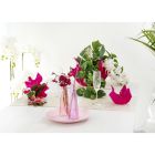 Recyclable Draped Colored Plexiglass Vase 2 Pieces 2 Sizes - Gabria Viadurini