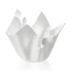 Recyclable Draped Colored Plexiglass Vase 2 Pieces 2 Sizes - Gabria Viadurini