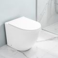 Aralia White Ceramic Floor-Mounted Cyclonic Toilet with Soft-Close Seat